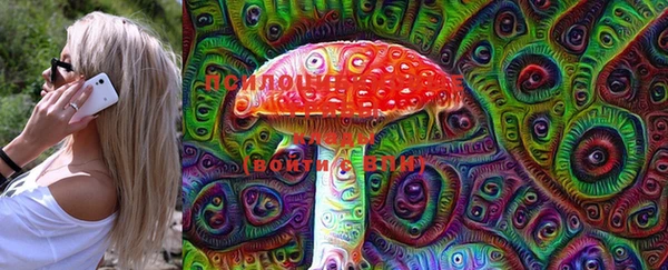 амф Горняк