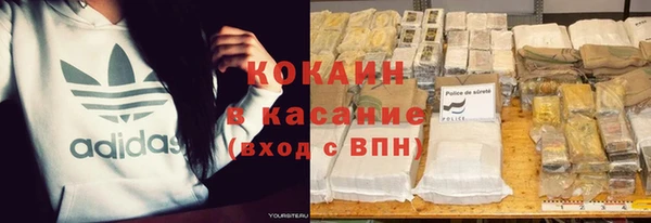 амф Горняк