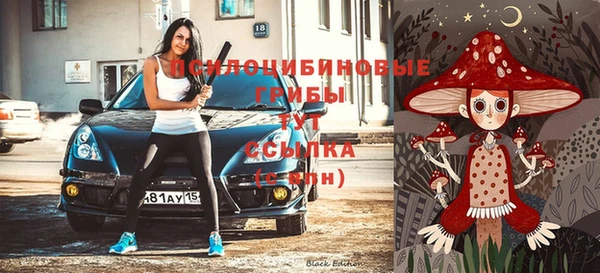 тгк Горно-Алтайск