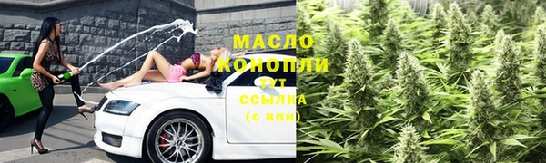 амф Горняк