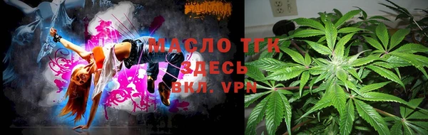 амф Горняк