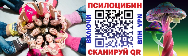 Псилоцибиновые грибы мицелий  где найти   Меленки 